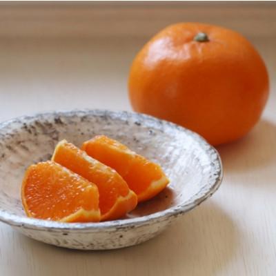 ふるさと納税 八幡浜市 [最高の旨みと香りが詰まった]代々橙せとか[訳あり]3.5kg[C83-9]