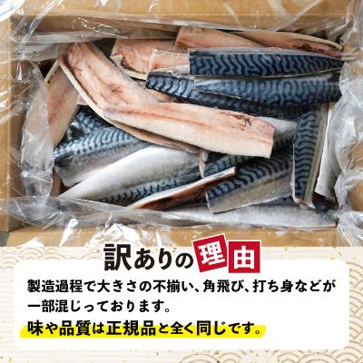 ふるさと納税 銚子市 【訳あり】定塩ノルウェーさばフィレ約3.6kg_2
