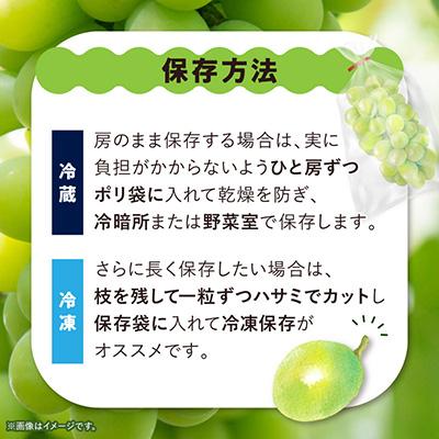 ふるさと納税 山梨市 【訳あり】 池田青果のシャインマスカット2房〜3房　1kg ふるさと納税 |  | 03