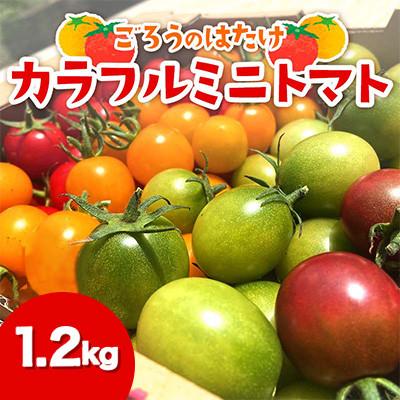 ふるさと納税 山陽小野田市 ごろうのはたけ カラフルミニトマト 1.2kg