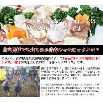 ふるさと納税 大鰐町 特産地鶏 青森シャモロック 水炊きセット(2〜3人前) |  | 02