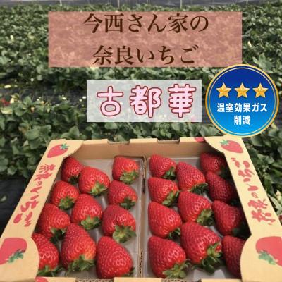 ふるさと納税 大和郡山市 今西さん家の奈良いちご古都華 270g×2パック