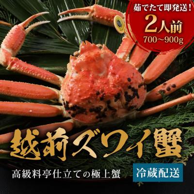 ふるさと納税 福井市 [1〜3月に発送]福井の蟹料理店の「茹で越前がにズワイガニ」中1杯(700〜900g、姿で発送)