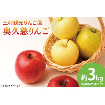 ふるさと納税 大子町 三村観光りんご園の奥久慈りんご(各種詰め合わせ) 約3kg[2026年10月中旬順次発送]