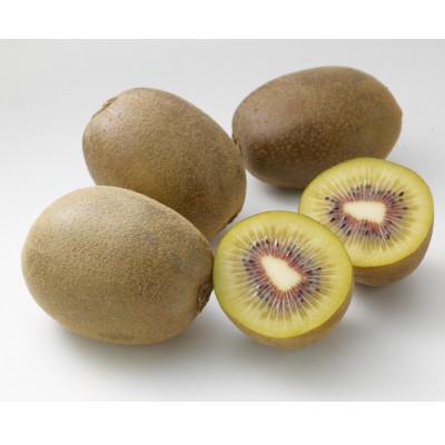 ふるさと納税 さぬき市 訳ありさぬきエンジェルスイートキウイ 約1.5kg