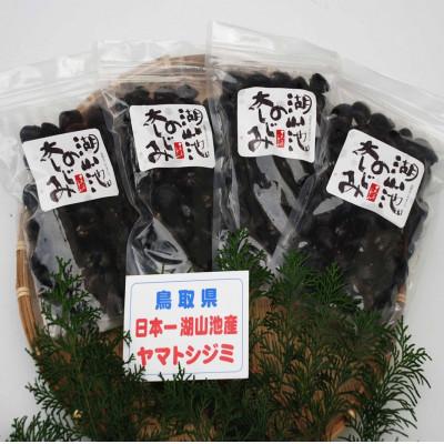 ふるさと納税 鳥取県 鳥取市湖山池の大しじみ(冷凍・砂抜き)500g×4パック