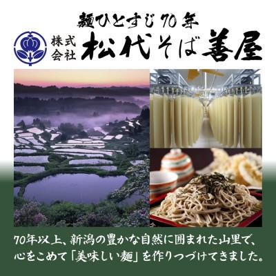 ふるさと納税 十日町市 ひゃんで そば(600g×8袋)約48人前 松代そば善屋