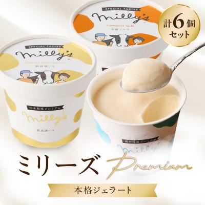 ふるさと納税 玄海町 [松本牧場]本格ジェラートミリーズ Premium 6個[B164]