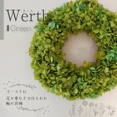 ふるさと納税 美浜町 ブリザーブドフラワー リース <グリーン>23cm