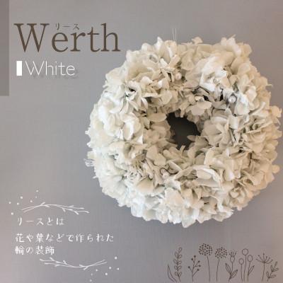 ふるさと納税 美浜町 ブリザーブドフラワー リース <ホワイト>19cm