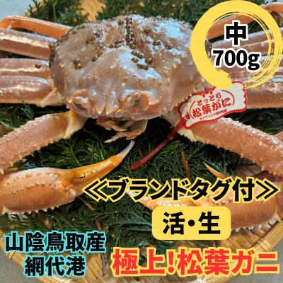 ふるさと納税 岩美町 鳥取網代港[ブランドタグ付]活!極上松葉ガニ(中)700g[さかなや新鮮組]