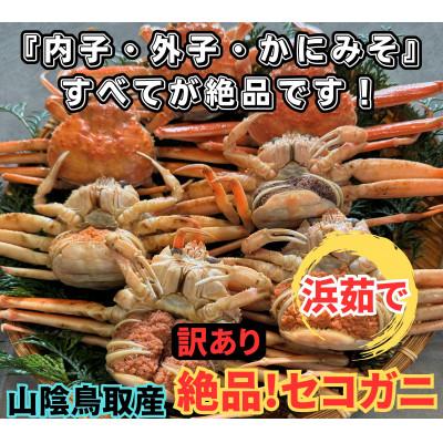 ふるさと納税 岩美町 鳥取網代港[訳あり]浜茹で!絶品セコガニ1kgセット[さかなや新鮮組]