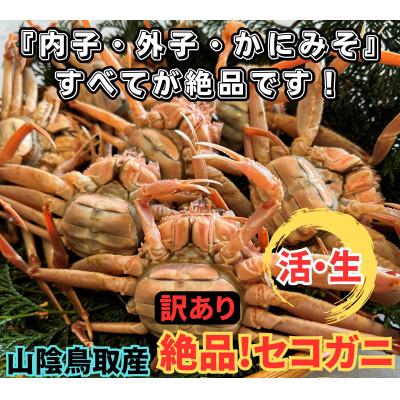 ふるさと納税 岩美町 鳥取網代港[訳あり]活!絶品セコガニ1kgセット[さかなや新鮮組]