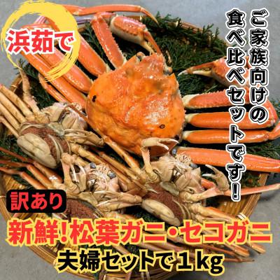 ふるさと納税 岩美町 鳥取網代港[訳あり]浜茹で!松葉ガニ・セコガニ1kgセット[さかなや新鮮組]