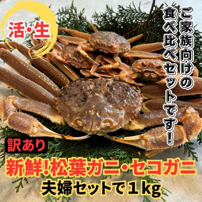 ふるさと納税 岩美町 鳥取網代港[訳あり]活!松葉ガニ・セコガニ1kgセット[さかなや新鮮組]