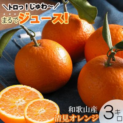 ふるさと納税 海南市 [2026年3月より順次発送]鈴木農園の清見オレンジ 混合サイズ3kg 和歌山県より農園直送