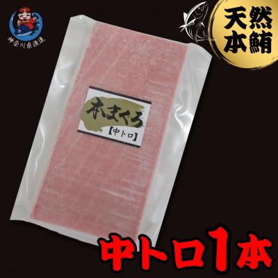 ふるさと納税 三浦市 神奈川県漁連 天然本マグロ 中トロサク