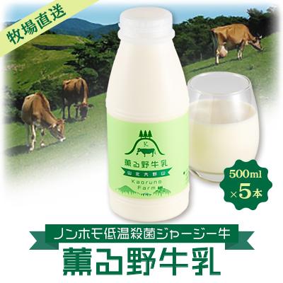 ふるさと納税 山北町 【牧場直送】薫る野牛乳500ml×5本　ノンホモ低温殺菌ジャージー牛　山地酪農　24時間365日放牧 | 