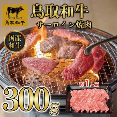 ふるさと納税 若桜町 鳥取和牛サーロイン焼肉 300g