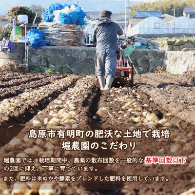 ふるさと納税 島原市 堀農園のじゃがいも・人参セット 約5kg |  | 01