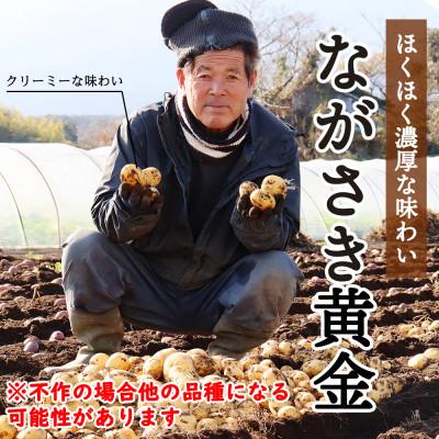 ふるさと納税 島原市 堀農園のじゃがいも・人参セット 約5kg |  | 02