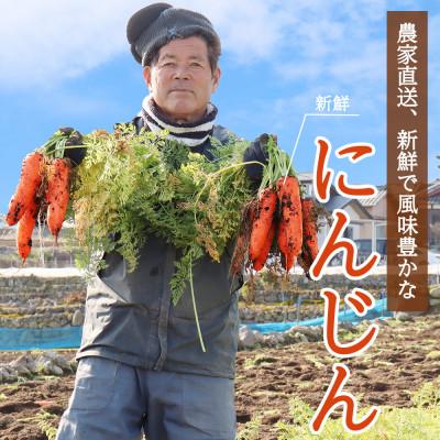 ふるさと納税 島原市 堀農園のじゃがいも・人参セット 約5kg |  | 03