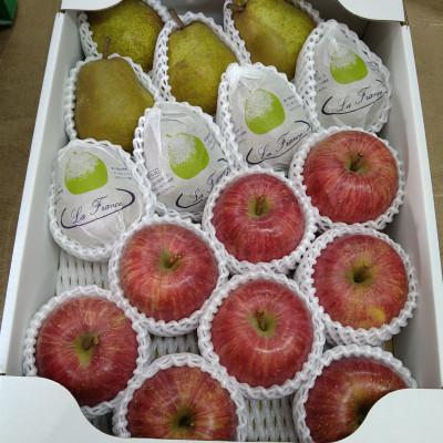 ふるさと納税 南陽市 山形県産 ラ・フランス&amp;完熟ふじりんご 約5kg[S2176]