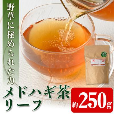 ふるさと納税 伊佐市 メドハギ茶 (リーフ約250g)