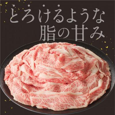 ふるさと納税 玄海町 【訳あり】佐賀牛切り落とし1000g(500g×2パック)【B112】 |  | 01