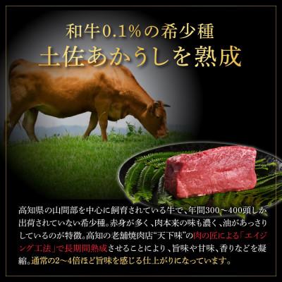 ふるさと納税 土佐市 土佐あかうし 特選スネ肉煮込み角切り500g　田野屋銀象完全天日塩1P付き |  | 01