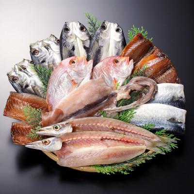 ふるさと納税 長崎市 長崎五島灘一夜干し 干物セット(合計15枚)