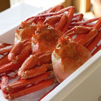 ふるさと納税 佐渡市 【新潟県佐渡島産】『冷凍』 浜茹で紅ズワイガニ(600g×3杯) | 