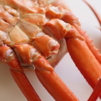 ふるさと納税 佐渡市 【新潟県佐渡島産】『冷凍』 浜茹で紅ズワイガニ(600g×3杯) |  | 03