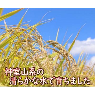 ふるさと納税 新庄市 【令和7年産】　はえぬき(玄米)5kg 山形県産 |  | 01
