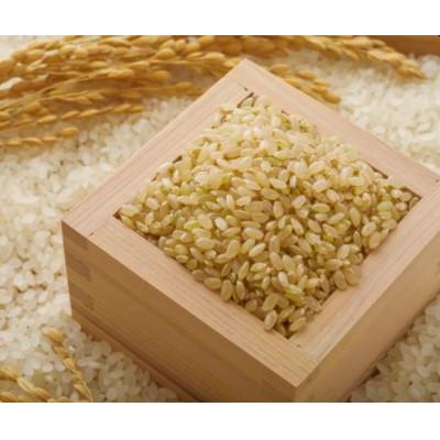 ふるさと納税 新庄市 【令和7年産】　はえぬき(玄米)5kg 山形県産 |  | 03