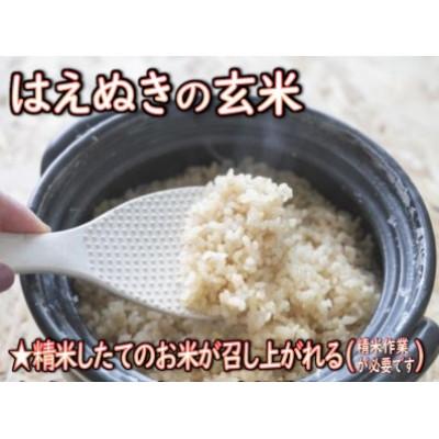 ふるさと納税 新庄市 【令和8年産】　はえぬき(玄米)10kg　山形県産 |  | 02