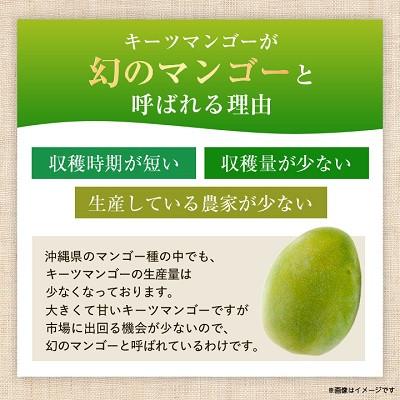 ふるさと納税 与那原町 【2027年8月中旬から順次発送・贈答用】幻のキーツマンゴー約2kg(2玉〜3玉) |  | 01