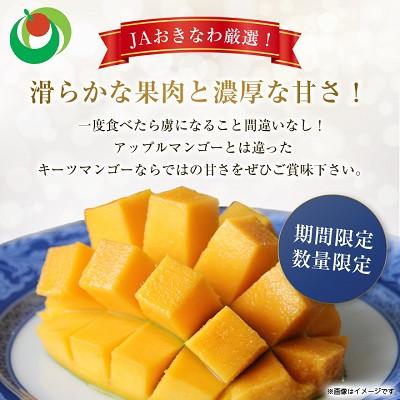 ふるさと納税 与那原町 【2027年8月中旬から順次発送・贈答用】幻のキーツマンゴー約2kg(2玉〜3玉) |  | 02