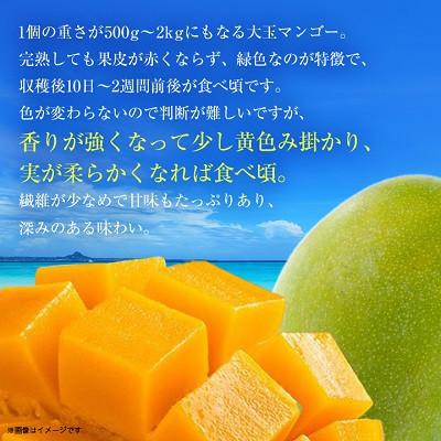 ふるさと納税 与那原町 【2027年8月中旬から順次発送・贈答用】幻のキーツマンゴー約2kg(2玉〜3玉) |  | 03