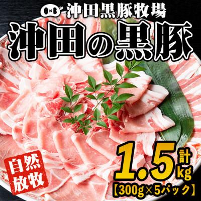 ふるさと納税 伊佐市 鹿児島県産!贅沢な黒・沖田の黒豚(計1.5kg・ロース、肩ロース、バラ、モモ、ウデいずれか5パック)