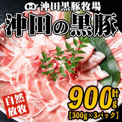 ふるさと納税 伊佐市 鹿児島県産!幻の黒・沖田の黒豚(計900g・ロース、肩ロース、バラ、モモ、ウデいずれか3パック)