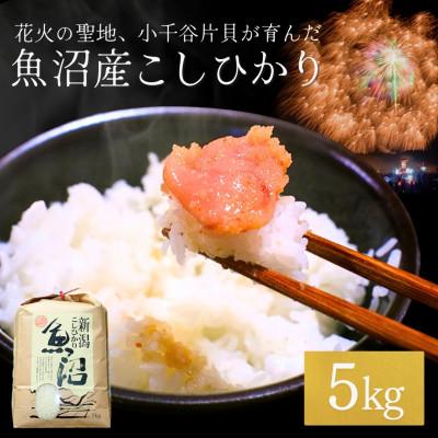 ふるさと納税 小千谷市 令和7年産 魚沼産コシヒカリ5kg 四尺玉花火の町 新潟県小千谷市片貝町 米萬商店