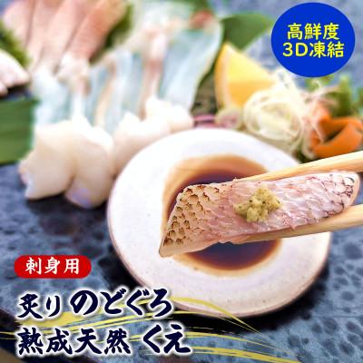 ふるさと納税 新温泉町 高級魚「天然クエ熟成」「炙りノドグロ」お刺身用 旨味凝縮 高鮮度3D凍結 個包装 | 