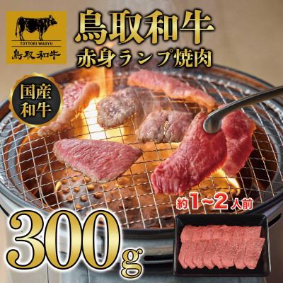 ふるさと納税 若桜町 鳥取和牛赤身ランプ焼肉300g