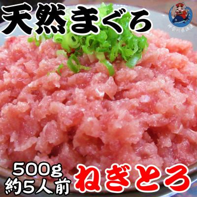 ふるさと納税 三浦市 神奈川県漁連 天然マグロ ネギトロ(500g)