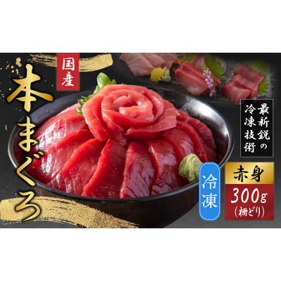 ふるさと納税 福井市 [最新鋭の冷凍技術 刺身用]本まぐろ 赤身 300g(柵どり)