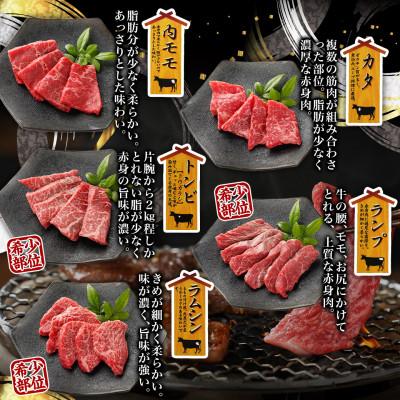 ふるさと納税 都城市 宮崎牛赤身焼肉10種盛焼肉 600g |  | 01