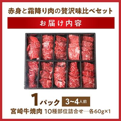 ふるさと納税 都城市 宮崎牛赤身焼肉10種盛焼肉 600g |  | 03