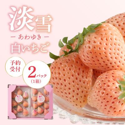 ふるさと納税 玄海町 [予約受付]白いちご「淡雪(あわゆき)」1箱[D008]