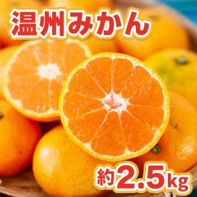 ふるさと納税 伊万里市 佐賀県産 温州みかん 約2.5kg(伊万里市)